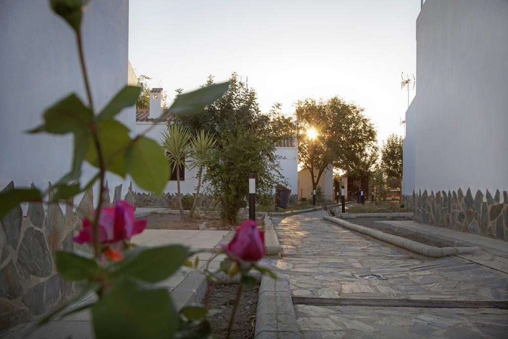 Apartamentos Puerta Sierra Puerto Serrano Eksteriør billede
